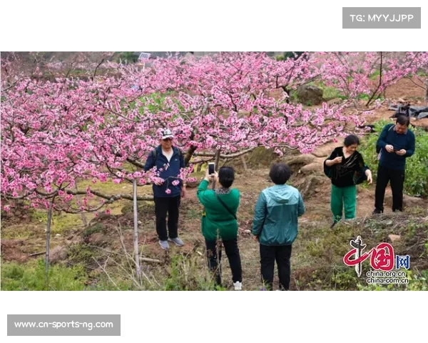 上海桃花节与汽车文化节今夏联办 助力文体消费新场景拓展 上海桃花节与汽车文化节今夏联办 助力文体消费新场景拓展
